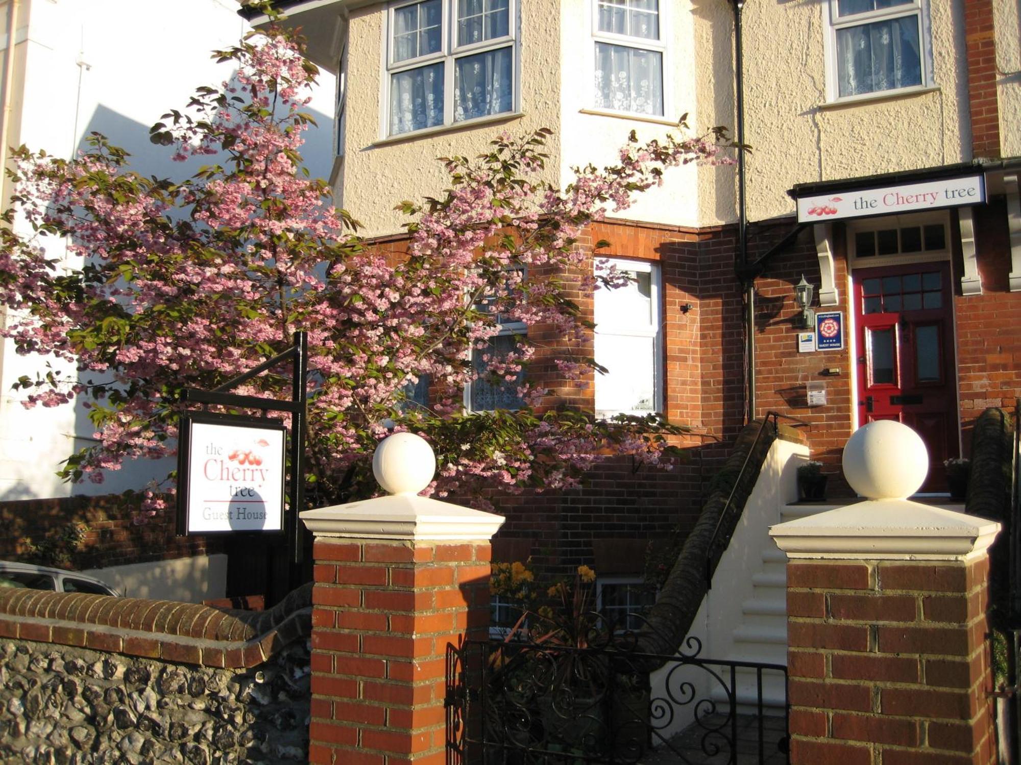 The Cherry Tree Guest House Eastbourne Exterior foto