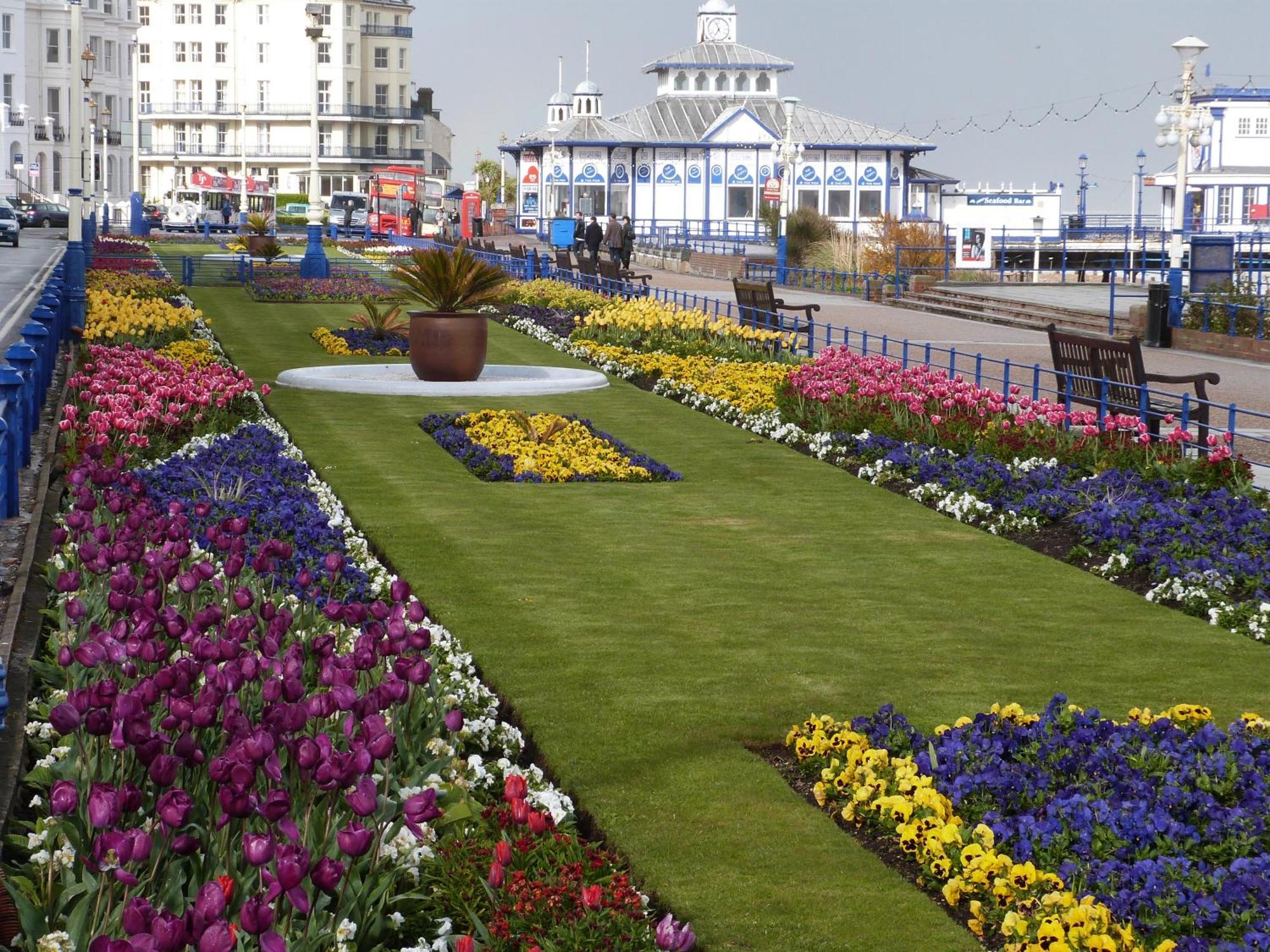The Cherry Tree Guest House Eastbourne Exterior foto